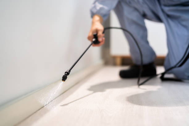 Licensed Termite Control service in Fairview, NC - Nex Pest Control