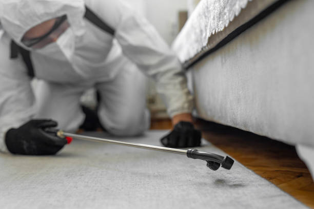 Professional Termite Control technician working in Fairview, NC