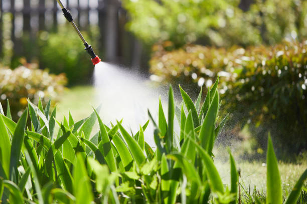 24/7 Emergency Termite Control experts in Fairview, NC