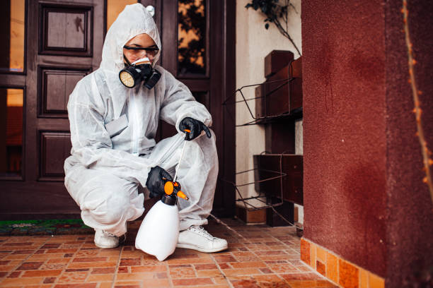 Reliable Termite Control contractor in Fairview, NC by Nex Pest Control