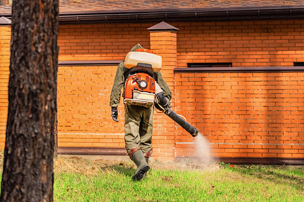 Top rated local Termite Control specialists in Fairview, NC